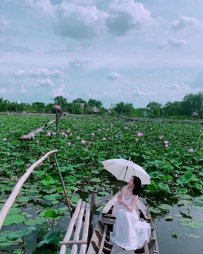 Thiếu nữ che ô trắng chụp ảnh trên thuyền tại đầm sen Tam Đa