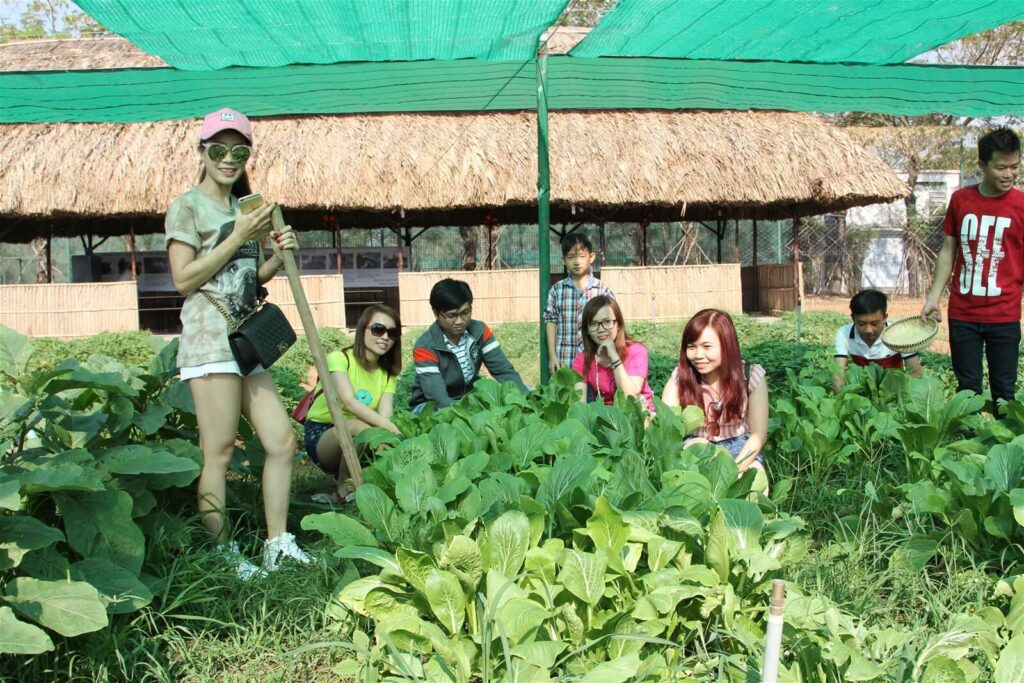 Làm nông dân tại The BCR Farm Du khách trải nghiệm làm nông dân và trồng rau tại The BCR Farm