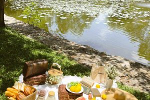 Thảo Cầm Viên là địa điểm picnic lý tưởng để xả stress