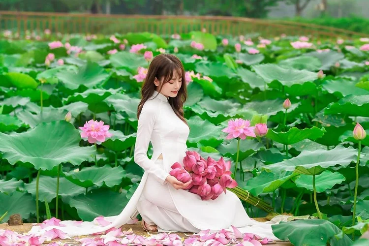 Cô gái mặc áo dài tại làng sen tam đa