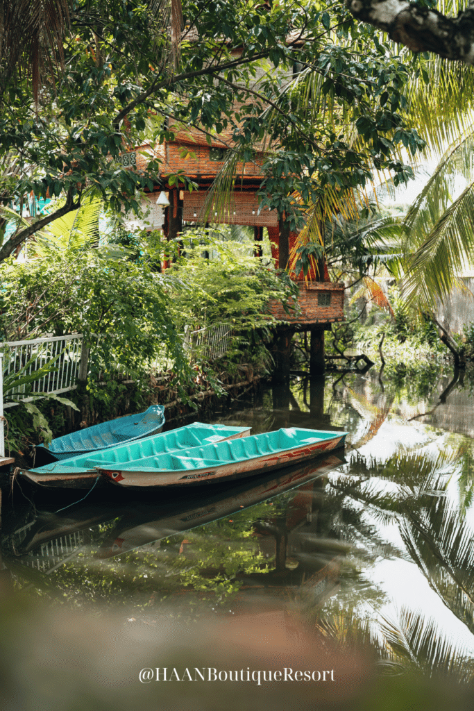 Chèo thuyền cũng là cách để thư giãn