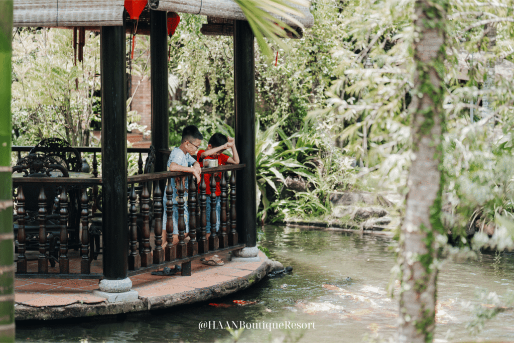 Cho cá ăn trong khuôn viên của HAAN Resort